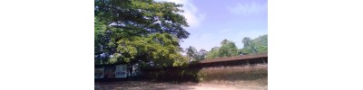 பையனூர்